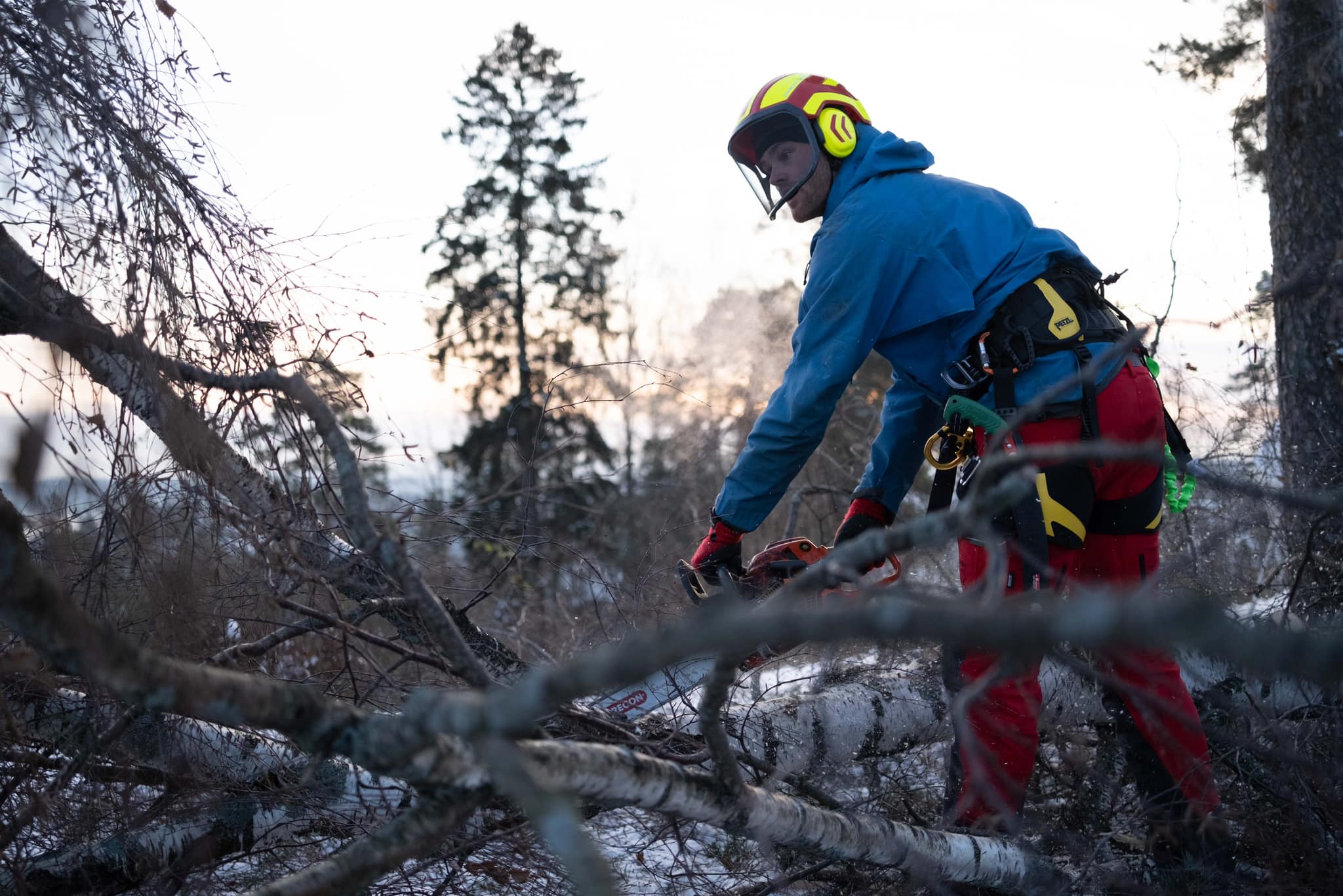 Personvernerklæring