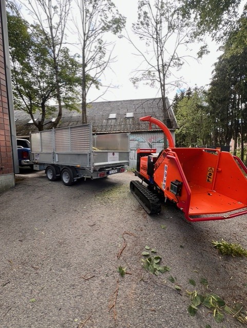 Rydding av kvist og tømmer